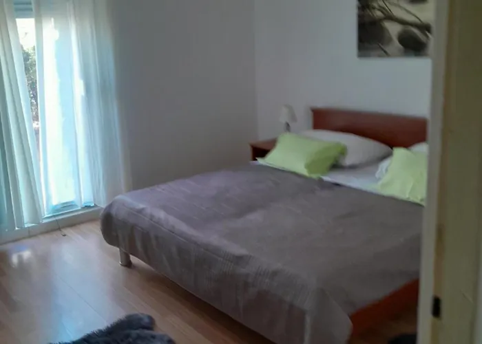 公寓 Roko 扎达尔